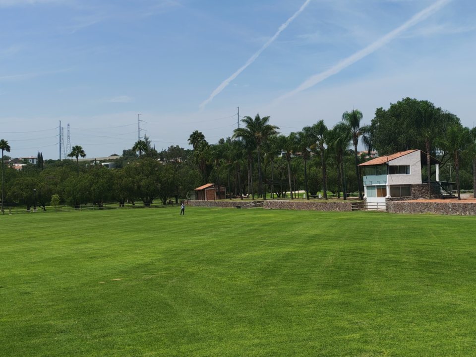 El mismo campo con el césped verde intenso después del tratamiento